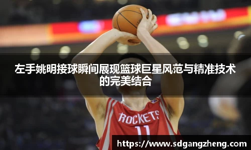 必一运动b-sports官方网站