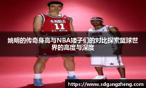 姚明的传奇身高与NBA矮子们的对比探索篮球世界的高度与深度