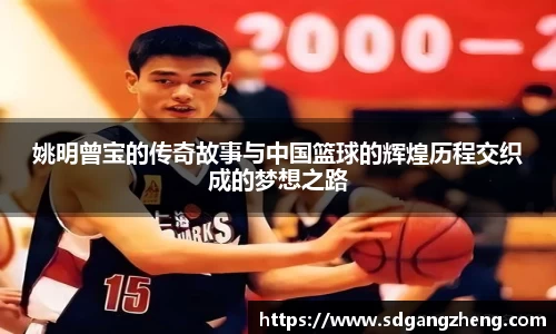 必一运动b-sports官方网站